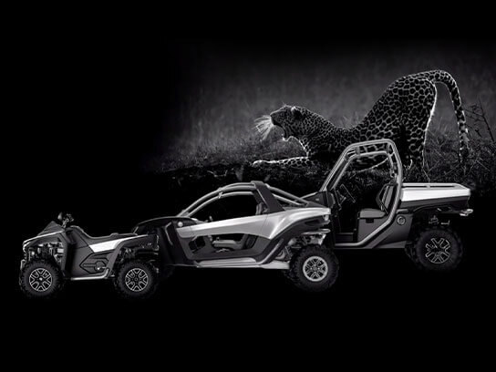 Video Thumbnail Design